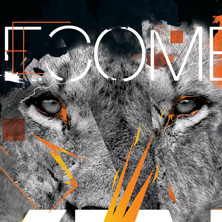 BECOME THE KING ORANGE 