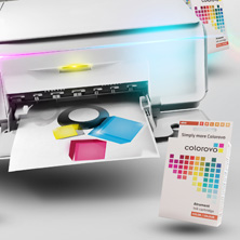 COLOROVO NOWOŚĆ WŚRÓD STAORCI 